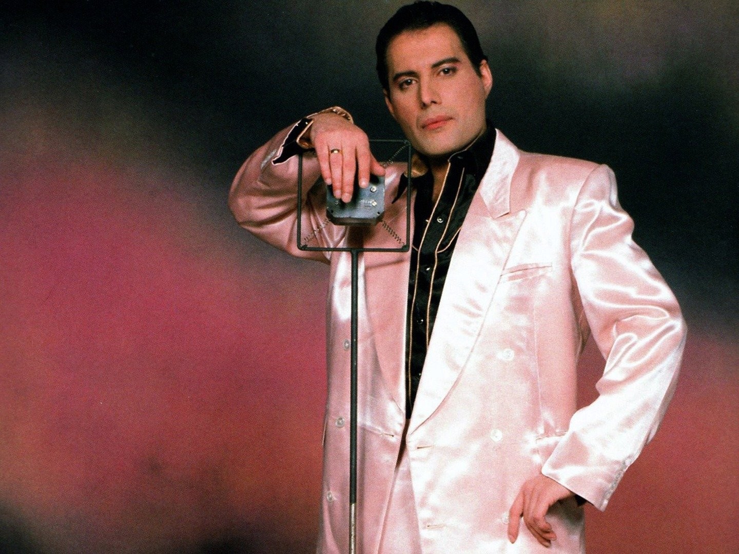 FREDDIE MERCURY/The Great Pretender 洋書写真集 ハードカバー 大型本 フレディ・マーキュリー クィーン Freddie Mercury: The Great Pretender - Wikipedia